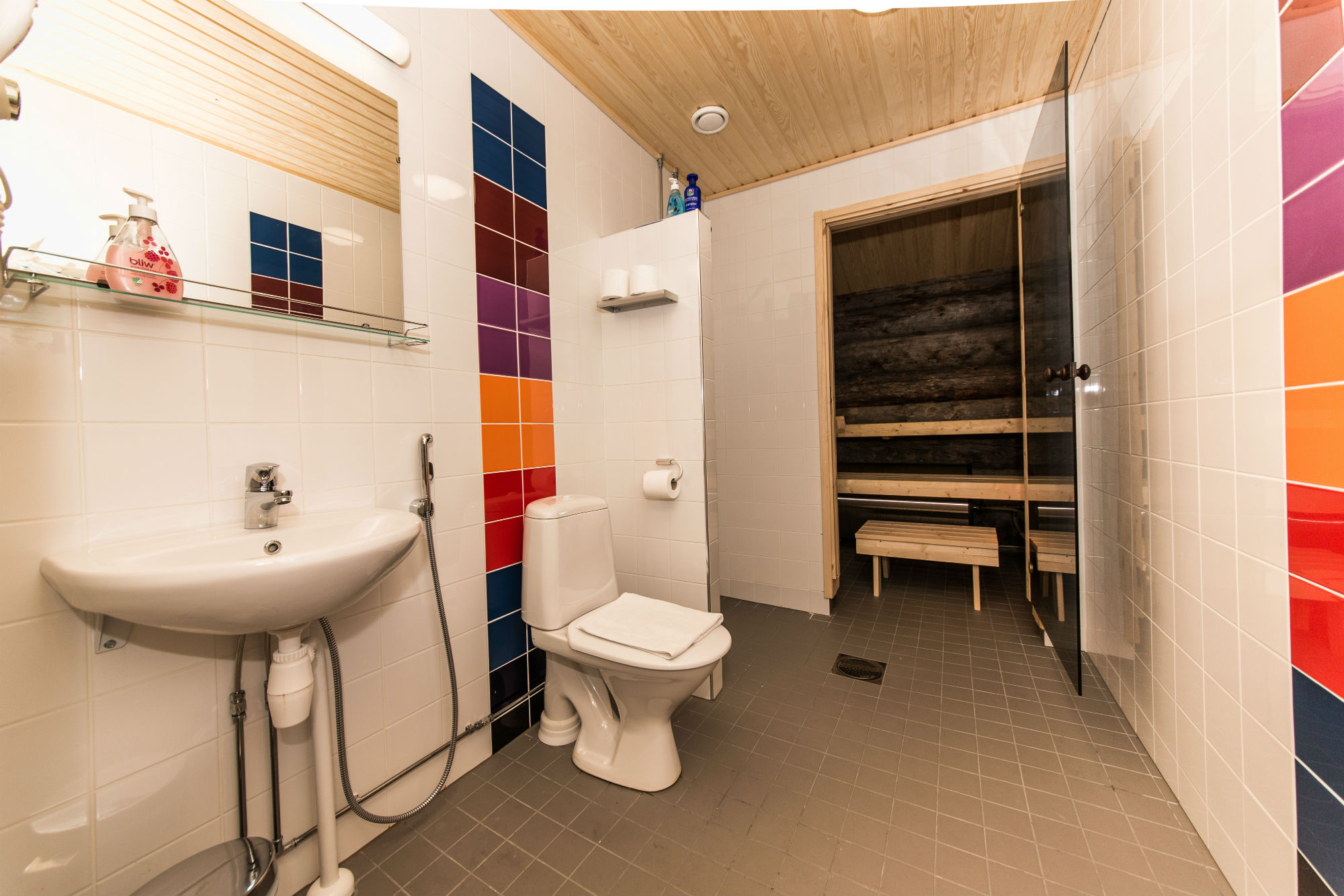 kakslauttanen_kelo_glass_igloo bathroom1