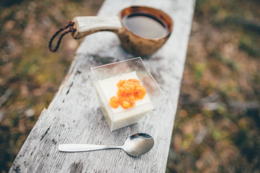 Summer at  ICEHOTEL 365